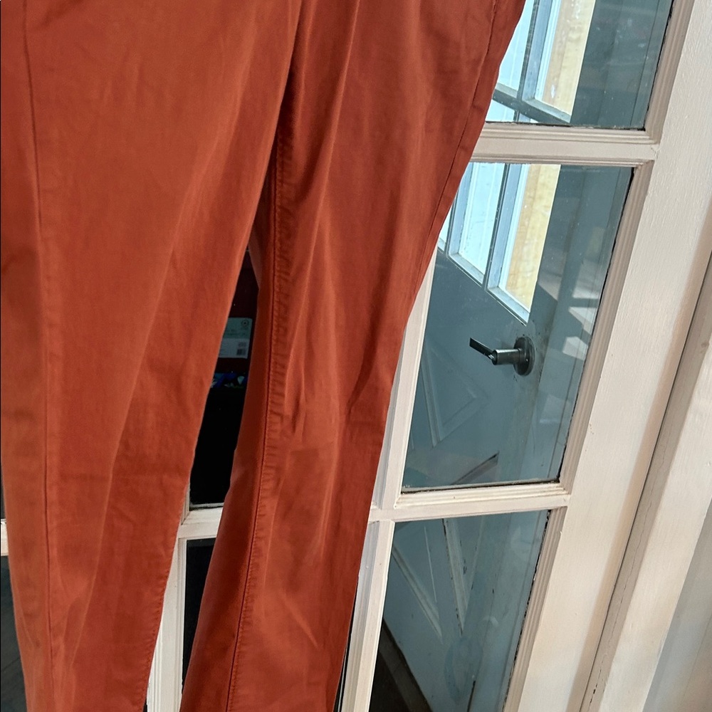 MICHAEL Michael Kors Rust Skinny Pants